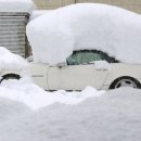 1m 이상 눈이 온 일본 니카타현 상황 이미지