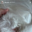 봄봄동물병원 이미지