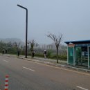 플라밍고C.C 이미지