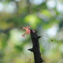 (주)허 브 이미지