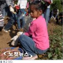 별량초등학교 송산분교 이미지