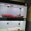 MY DOG(마이도그) 이미지