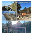 기찬자연휴양림 | [영암여행]영암 기찬자연휴양림/깨끗한신축/숲속의집/편백나무실내