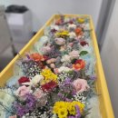더조은요양병원장례식장