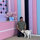 하룻강아지 | 강형욱 보듬TV 퍼피교육 촬영 후기📹