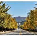 연수원길 이미지