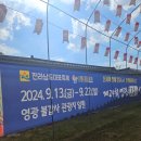 영광상사 | 영광 불갑산 상사화축제 다녀온 후기 개화상태