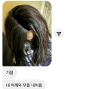 에? 다들 오해하지 마세요. 전 갓반인입니다.