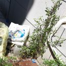 세븐일레븐(김해진영주천점) 이미지