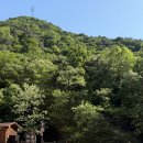 진밭골야영장 | + 대구 수성구 계곡 캠핑장_ 진밭골야영장 뷰명당 데크 209 후기