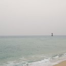 농업회사법인 화인바이오산업(주) 이미지