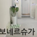 보네르슈가 왁싱