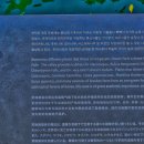 제주 천지연 난대림 이미지