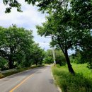 산방천길 이미지