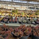 두은농장 이미지