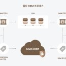 미디어솔루션 이미지