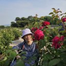 이서노인복지센터 이미지