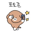 파파야 펜션 이미지