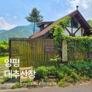 푸른식물병원 | 양평 카페 추천 대추산장 ｜ 동화 속 오두막 감성 힐링 공간 내돈내산 후기