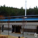 여주-1119 Daum카페