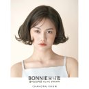 보니디자인