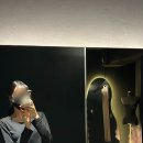 스탠다드짐 | 태평동헬스장 스탠다드짐 후기 :)