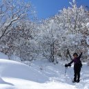 2.21일 방장산 전남장성 100명산 방장산 정상을 포함해 다섯 개의 봉우리를 오라락 내리락하며 올라야하기 때문에 산행이 만만치는 않다.눈산행5시간 이미지