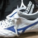 수원-0641 이미지