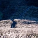 설국농장 | "스위스 고원지대 느낌이 확 납니다" 해발900m 고지에 펼쳐진 10만 평의 평원 명소
