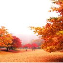 가을 사랑 그리고 이별~ 이미지