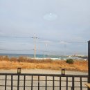 아름다운김밥 | 제주도 협재 김밥 맛집 제주머슴네 제주본점 탐방 후기!! (feat. 아침 러닝)