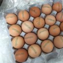 우촌농장 이미지