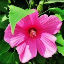 반월공원 화장실 이미지