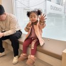 모리동물병원 이미지