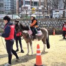 대덕승마장 이미지