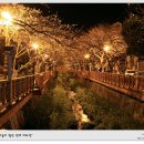 진해의 아름다운 벚꽃길, 여좌천 이미지
