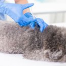 소랑동물병원 이미지