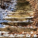 봉제산 등촌동 숲속놀이터 이미지