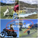 추월농장 | 뉴질랜드 와나카 가는 길에서 구경 싹싹 발라먹기(1)/🔥🔥경찰이 차 세운 썰ㄷㄷ