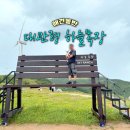 추진목장 | [평창] 대관령 하늘목장 - 비 오는 날 트랙터마차를 타면 생기는 일｜애견동반