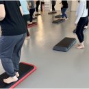 피지오테스