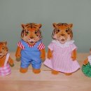 바니베어뮤지엄 이미지