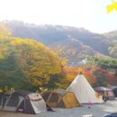 브라보캠핑장 이미지