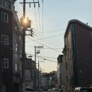 심야식당함께취하기좋은밤 - 남동구 비류대로 622 | 숨겨진 건대 이자카야, 삼동심야식당 성수점 메뉴 추천과 솔직 후기