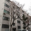 롯데씨티공인중개사사무소 이미지