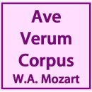 "Ave Verum Corpus" - W.A. Mozart 파트별 연습 동영상 이미지