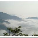 안성리-8 Daum카페