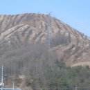 (주)벌집