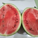 참조은마트 이미지