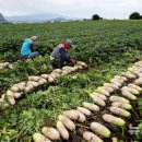 상모리-26 이미지